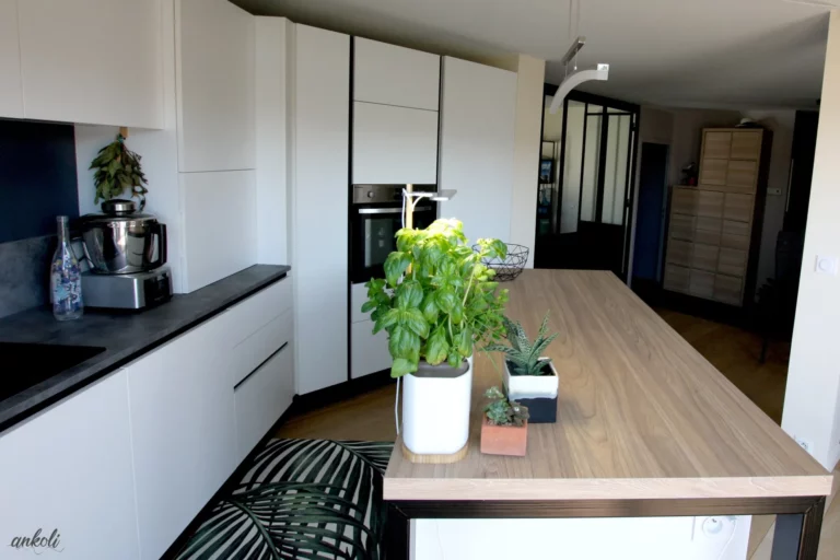 plan pour réaménagement appartement